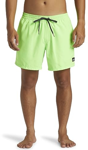 Quiksilver Everyday Solid Volley 15 - Schwimmshorts für Männer Grün