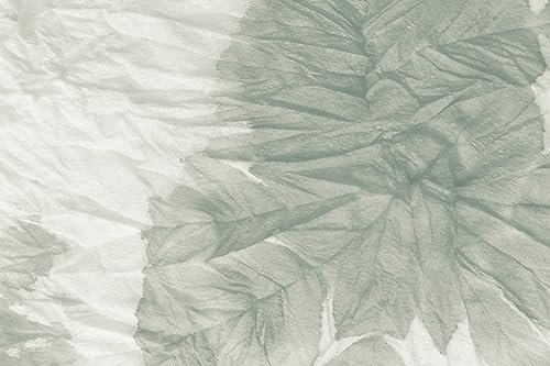 Queence | Küchen Spritzschutz Palmenblatt 60x40x0,3 cm | Küchenrückwand | Alu-DiBond | Fliesenschutz für den Herd und Spüle | Küchenfliesen | Fliesenspiegel | Rückwand