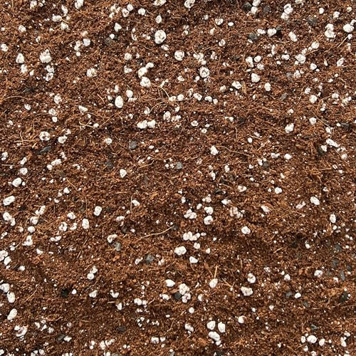 Coco Perlite Mix 70/30 with activated biochar - Enhanced Potting Soil Mix for Optimal Plant Growth and Health (10L)