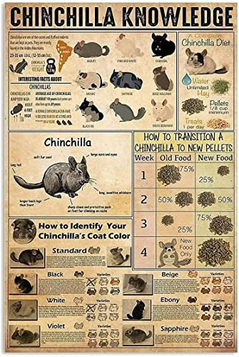 Metallschilder mit Chinchilla-Wissen, Aluminium-Poster, wie Sie die Fellfarbe Ihres Chinchillas identifizieren können, für Zuhause, Schlafzimmer, Badezimmer, Wohnzimmer, Küche, Zuhause, Wanddekorati