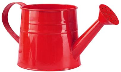Secchio da doccia zincato, in latta, piccolo vaso per fiori, annaffiatoio in metallo (G, taglia unica)
