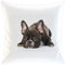 Kissen/weiches Kuschelkissen mit Füllung 40x40cm - Motiv: Französische Bulldogge nachdenklich | 027