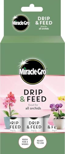 Miracle-Gro Drip & Feed Orchid Plant Food – Pack of 3 | Ready-to-Use Orchid Feed with Slow Release Nutrients | No Mixing Required | Ideal for All Orchid Varieties in Pots & Containers