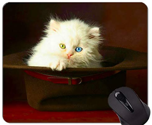Gaming Mouse Pad Custom, Hut Kätzchen tierische niedliche Katze Rutschfeste Gummibasis Mousepad