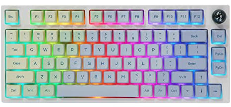EPOMAKER TH80 Pro Teclado Mecánico Inalámbrico/Bluetooth/USB-C, con Iluminación RGB, Hot Swap, Teclas Multimedia, y Compatible con PC/Mac/PS4/PS5/Xbox (Monet TH80 Pro, Epomaker Flamingo Switch)