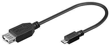 Wentronic Adaptateur USB Prise A / Fiche micro B 0,2 m (Import Allemagne)
