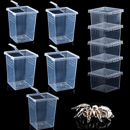 10 Stück Spinnen-Terrarien, kleine Reptilien-Brutbehälter, Acryl-Futterbox für Arboreal Spinne Tarantel Mantis Skorpion Tausendfüßler Insekten (5 hoch + 5 klein)
