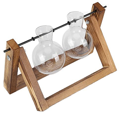 Terrarium pour Plantes avec Support en Bois, Support, Jardinière à Air de Bureau, Vase en Verre, Ampoule pour Terrariums de Bureau, Plantes Aquatiques Hydroponiques d'intérieur,