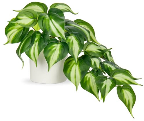 Hollyone Plantes artificielles dans des pots en céramique, faux jade pothos décoratifs en pots blancs, comme de vraies plantes artificielles pour maison, table, bureau, décoration de bureau
