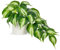 Hollyone Plantes artificielles dans des pots en céramique, faux jade pothos décoratifs en pots blancs, comme de vraies plantes artificielles pour maison, table, bureau, décoration de bureau