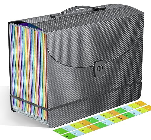 25 Pockets File Organiser Box File Folder Document Organiser with Handle,Expanding Filing Folders Concertina Files for Paperwork,Bill Receipt Paper Organiser for Home School Office,2X Tabs,A4