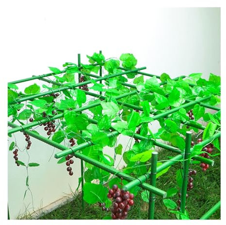 Gurkenspalier Metall-Gartenpfähle, Stützstangen, Spalier für Kürbis- und Weintrauben, quadratische, hohe Pflanzenstützen, Kletterranken, Blumenständer, Gemüse-Gurkenlaube im Freien ( Color : Lxwxh , S
