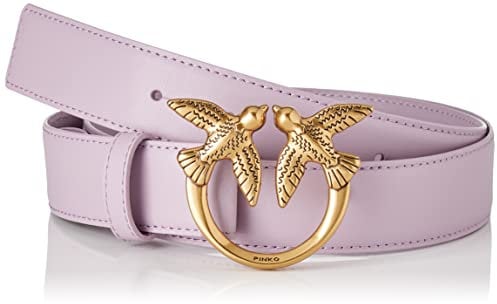 Pinko Love Berry H3 Belt Vitello Set, Cintura Donna, Y13q_iris-antique Gold, M