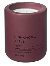 blomus Duftkerze -FRAGA- aus Beton | Farbe Port | Duft Cinnamon & Apple | Ø9 x 11H cm | 100% nachhaltiger Sojawachs
