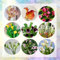 10 pcs calla zwiebeln winterhart, calla lilie zwiebeln, indoor plants for living room, echte pflanzen, calla pflanze winterhart Knollen (Zantedeschia aethiopica) outdoor pflanzen bodendecker