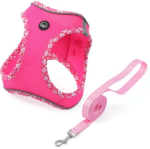 Belababy Small Dog Harness, Step in Breathable Puppy Harness and Lead Sets for Walking Easily, Lightweight Air Mesh Pet Vest with Safety Buckle, Rose, S
