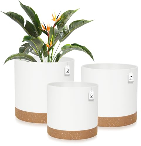 CSYY Plant Pots Indoor, Plastic Plant Pots, Flower Pots Outdoor Self Watering Indoor Plant Pot with Drainage Holes and Tray, Plastic Planter for Garden House Plants (White, 8/7/6in)