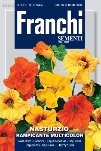 Franchi Nasturtium Climbing