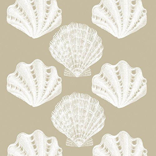 PPD Riviera Shells Taupe Servietten, 20 Stück, Tischservietten, Tissue, Taupe / Weiß, 33 x 33 cm, 1332000