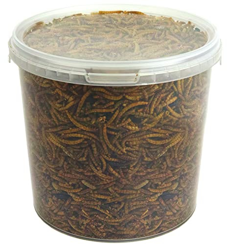 vers de Farine séchés GardenersDream - Friandises nutritives pour Oiseaux Sauvages (10L)