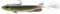 DAIWA Prorex V-Marley Pelagic Shad, 21,0cm, 80g, Hakengröße 1/0, Gummifischköder, Real Mud Roach, 15227-005