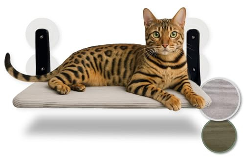 PiuPet® Lettino galleggiante per gatti da finestra - Lettino pieghevole e salvaspazio per gatti con ventose I Amaca reversibile per finestre | gatto accessori (Grigio)