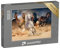 Puzzle 1000 Teile XXL „Wilde Schönheiten: Kraftvolle Pferde im Galopp“ – aus der Puzzle-Kollektion Tiere
