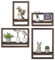 Walasis Wandregal Holz Wanddeko Wohnzimmer : 4er Set Regale Wand Schweberegale Regalbrett Wandboard - Rustikal Wand Deko für Schlafzimmer (Dunkelbraun)