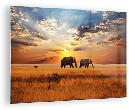ARTTOR Bilder auf Glas Elefanten Safari Dschungel Busch Glasbild 70x50cm Wandbilder Dekoration Wohnzimmer Schlafzimmer Küche Deko Klein Wanddeko Bild im Glas Wand Kunstdruck Art Modern GAA70x50-3150