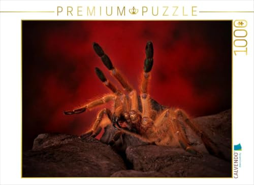 CALVENDO Puzzle EIN Motiv aus dem Kalender Mystische Vogelspinnen | 1000 Teile Lege-Größe 64 x 48 cm Foto-Puzzle für glückliche Stunden