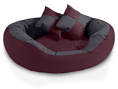 BedDog® 4in1 Hundebett SABA, Wende-Hunde-Kissen oval-rund, großes Hundekörbchen, abwischbares Hundebett mit Rand, für drinnen, draußen, L, Cherry-Rock, Bordeaux-grau
