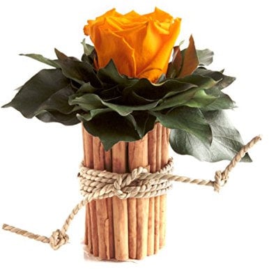 ROSEMARIE SCHULZ Heidelberg 1 Ewige Rose gelb Vase Zimtstangen Rosenbox konserviert Landhaus Deko (Gelb)