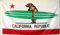 2BUT California Surfer Republik Flagge Banner 3 x 5Feet