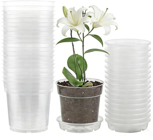 LOLYSIC 20 Stück Orchideentopf Durchsichtig 11.5 cm mit Untersetzern | Blumentopf mit Drainagelöchern, Durchsichtige Pflanztöpfe aus Kunststoff für Sukkulenten, Samen, Setzlinge, Indoor & Outdoor