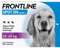 FRONTLINE Spot ON Hund L gegen Zecken, Flöhe & Haarlinge (große Hunde 20 bis 40 kg) - 6X Pipetten für bis zu 6 Monate Schutz - wasserfest