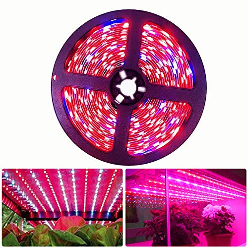 Tesfish LED Pflanzen Wachsen Streifen Licht DC 12V IP20 Vollspektrum SMD 5050 rot blau 8: 1 Seil Licht für Aquarium Gewächshäuser Pflanze