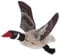 Kerbl Pet Hundespielzeug Gans Nils, 38cm
