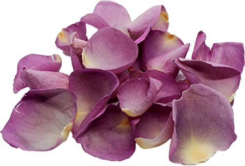 Mauve Rose Petals - 1.8Ltr/15g