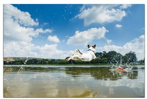 Wallario wasserfestes Poster selbstklebend 61 x 91,5 cm, Jack Russel Terrier im Wasser, Badezimmerposter Spritzschutz mit Hochglanzoberfläche in Glasoptik
