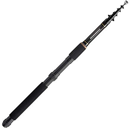 Cormoran Profiline Tele Travel 6tlg. 20-60g 2.70m