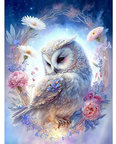 cdsnxore DIY Diamond Painting, Diamond Art Painting Owl Kits for Adults Embroidery Pictures Arts Crafts for Beginner Home Wall Decor 30 × 40 cm (White)