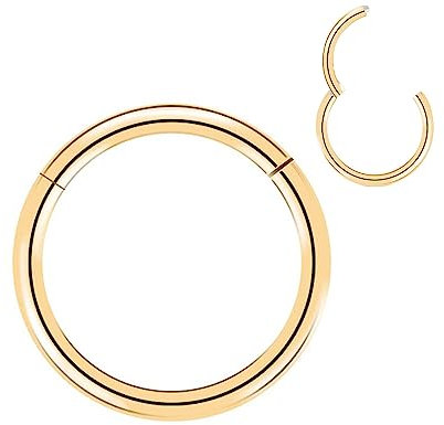 Artskin Grade 23 Titanium Hinged Nose Rings Hoops Body Piercing Rings Helix Cartilage Rook Earrings 16G Diameter 8mm Gold Nose Rings