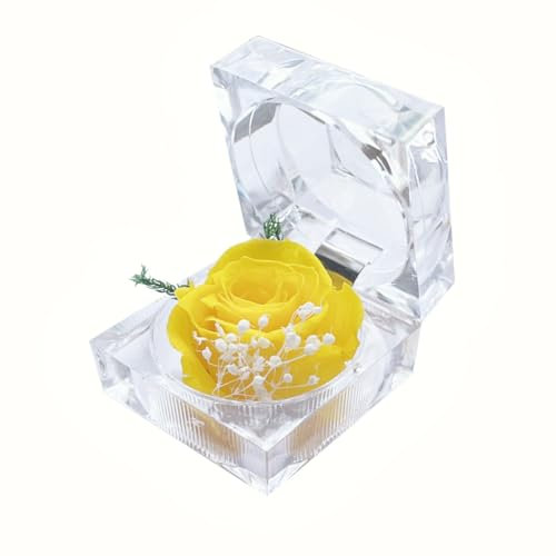 DoraMagic Preserved Rose Real Forever Rose in Mini Clear Ring Box, Eternal Flower Rose Gifts for Women Mom Girlfriend Grandma, Mothers Day, Anniversary, Valentines, Christmas, Birthday (Yellow)