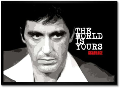 Poster mit weißem Rahmen, Wandkunst, 70 x 50 cm, The World Is Yours Nr. H149M_RAPL1G