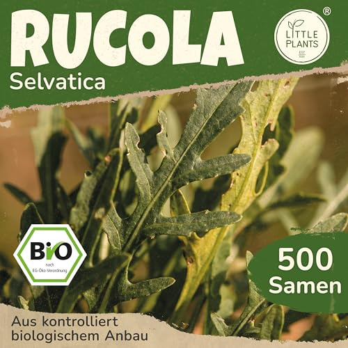 Little Plants BIO Rucola Samen 500 Rucolasamen Selvatica Salatrauke Gemüsesamen Rauke Gemüsesaatgut Samenfest für Gemüsegarten, Hochbeet, Küche, Balkon und Garten