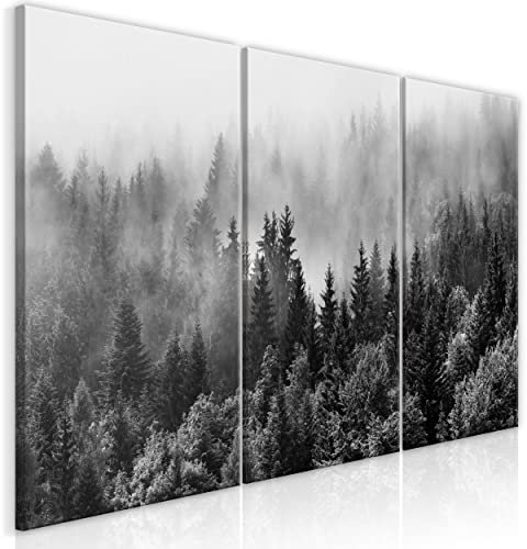 decomonkey Bilder Wald 120x60 cm 3 Teilig Wandbild Groß Leinwandbild XXL Deko Wohnzimmer Schlafzimmer Büro Wanddeko Leinwand Pictures For Wall Poster Wall Painting Baum Nebel Schwarz- Weiß Grau