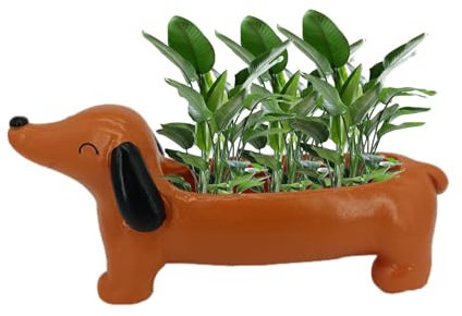 LearnLyrics Hunde Blumentopf, Pflanztopf Hund Dackel, Niedliche Dackel Hunde Blumenpflanzgefäße, Pflanzgefäße Mit Hundemotiv, Cartoon Tier Blumentöpfe, Bonsai Harz, Daisy The Dackel Pflanzgefäß