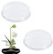 vcsjw 2 Stück Steckigel Blumen für Ikebana,Blumenigel für Vasen,Rund Kunststoff Blumensteckigel mit 3 Saugnäpfen für DIY Arrangements Blumenhandwerk - 6.8cm
