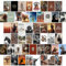 Waschbär Western-Raumdekoration: Südwestliche Wand-Collage-Set, ästhetische Bilder, Westernposter für ästhetische Zimmer, Cowboy-Heimdekoration, Cowgirl-Schlafzimmer-Dekor