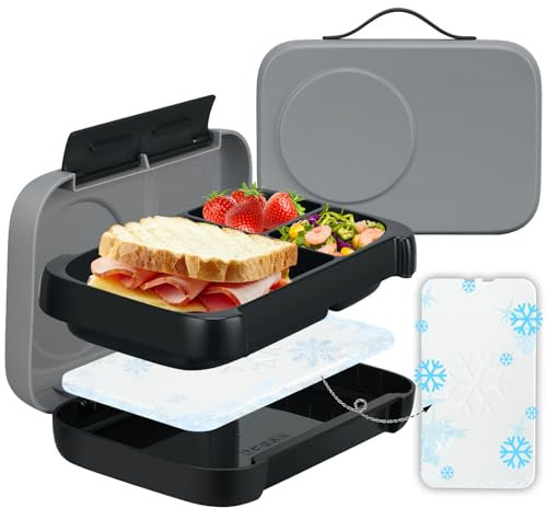 MAISON HUIS Chill Bento-Lunchbox für Kinder und Erwachsene, mit Eisbeutel, 3 Fächer, auslaufsicher, Lunch-Behälter, hält Lebensmittel kalt, für Mädchen, Jungen, Schule
